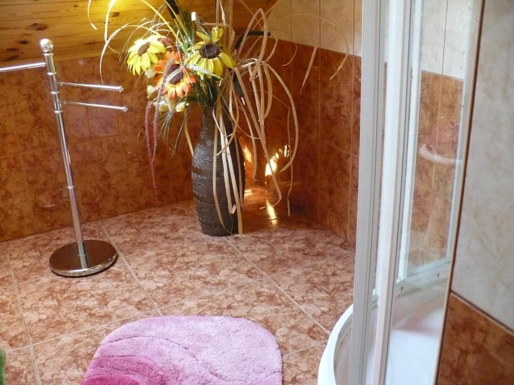 ミシュコルツKitty Apartmanアパートメント 部屋 写真